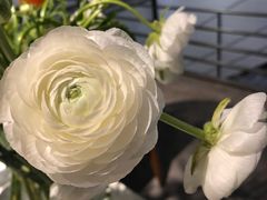 -派悦坊·甜品·蛋糕(日坛店)