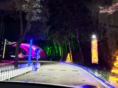 -枫花园汽车电影院(朝阳公园店)