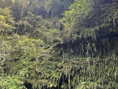 -海口火山口国家地质公园