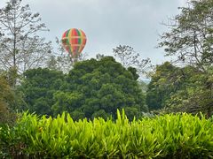 -中国科学院西双版纳热带植物园
