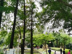 -晓港公园