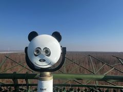 -黄海国家森林公园