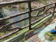 -十渡高山漂流