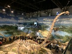 -自贡恐龙博物馆