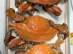 -大锅强·蒸海鲜青岛菜(金沙滩店)