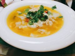 酸汤鱼酿豆腐-白魁老号饭庄(安内店)