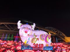 -沈阳奥体冰雪嘉年华