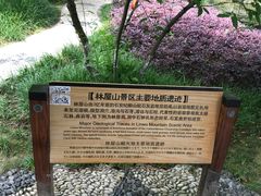 -苏州香山国际大酒店