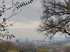 -白水寺森林公园