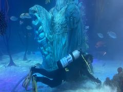 -沈阳海洋探索中心