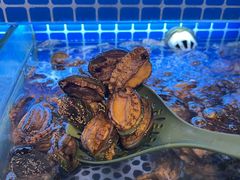 -芭菲盛宴·环球美食(北城国际店)