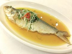 清蒸鲥鱼-红城阁·上海味道(四平路店)