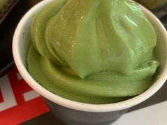 -雪绿茶博物馆