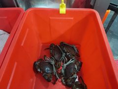 -老财炒饭·熟地蟹·冬瓜蟹