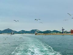-海驴岛(荣成市)