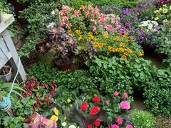 -金陵花卉交易市场