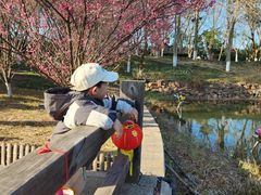 -天目湖山水园
