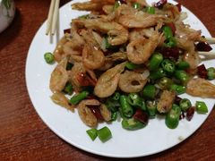 -启子大馅饺子