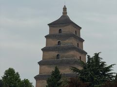 -何老二卤汁凉粉