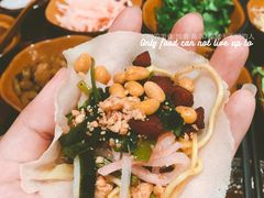 -杨姨妈丝娃娃(花果园店)