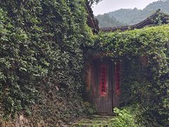 -杨家堂村