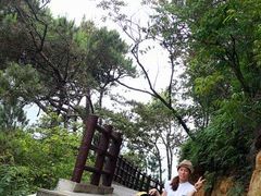 -羚羊峡古栈道森林公园