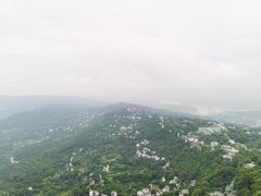 -大金鹰园