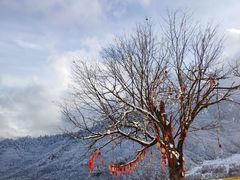 -硗碛藏寨·神木垒景区