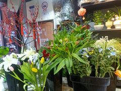 -何兮花店·气球派对鲜花店(马桥银春路万科城店)