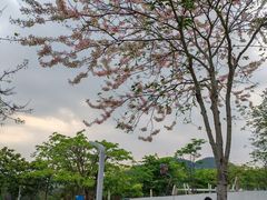 -白石龙音乐公园