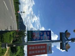 -小慧大桃观光采摘园