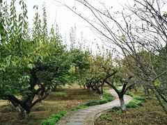 -白马涧龙池景区