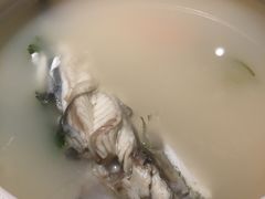 -吉之仙•中国制造•出口级食材日料店(领事馆总店)