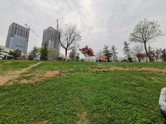 -灞河西岸滨河公园