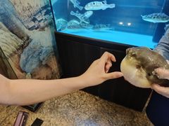 -肆月河豚·淮扬菜·湘菜(华天店)