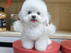 -宠物家(大兴旧宫店)