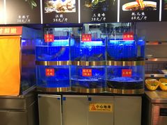 水产区-蛙一刀·麻椒鱼火锅(金仙桥店)