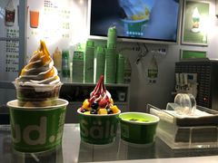 -Salud撒露欧洲冻酸奶(蓝色港湾店)