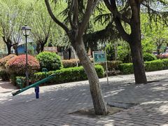 -马濠公园