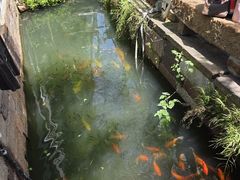 -乌记大厨餐厅