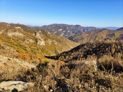 -灵山