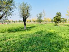 -汉长安城未央宫国家考古遗址公园