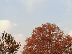 -上海市龙华烈士陵园