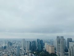 -叙叙苑(东京歌剧城店)