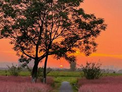 -汉长安城未央宫国家考古遗址公园