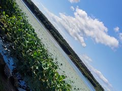 -丁香湖公园