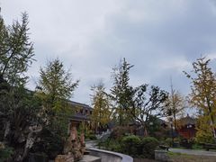 -九尺赵老四鲜鹅肠火锅