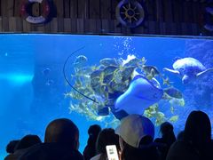 -左海海底世界