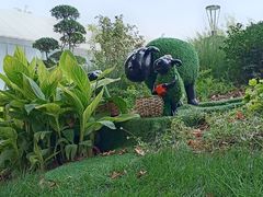 -西安电影制片厂