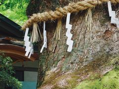 -热田神宫